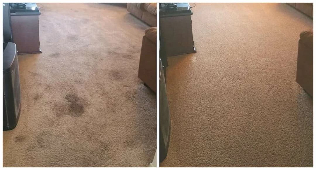 Carpet Cleaning